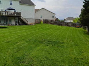 Teresa H.'s grass maintenance service result