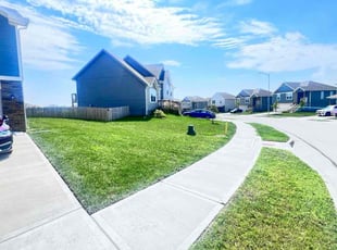 Ross M.'s lawn care service result
