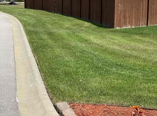 Wendy B.'s grass maintenance service result