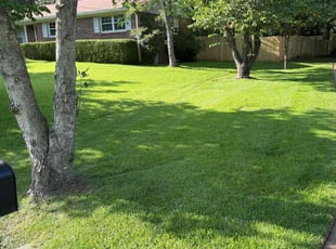 Alexa R.'s turf maintenance service result