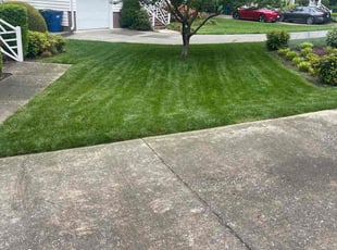 Ryan H.'s turf maintenance service result