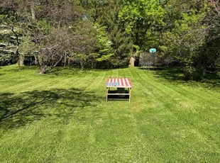 Mohsin K.'s turf care service result