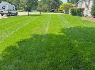Rebecca W.'s turf maintenance service result