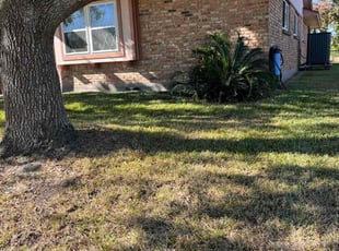 Celestine H.'s lawn care services service result