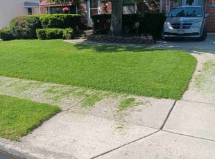 Audie A.'s lawn service service result