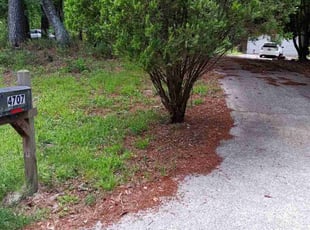 Judy M.'s Bush Trimming service result
