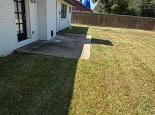Sarah S.'s turf care service result