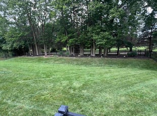 Joao L.'s yard maintenance service result