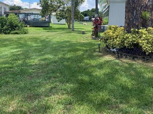 Claudine W.'s grass cutting service result