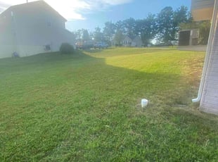 Tiffany N.'s grass cutting service result