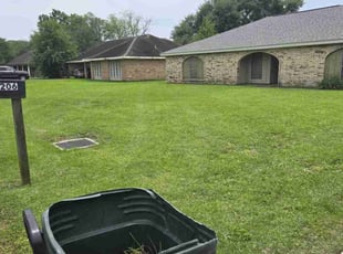 Michael M.'s turf care service result