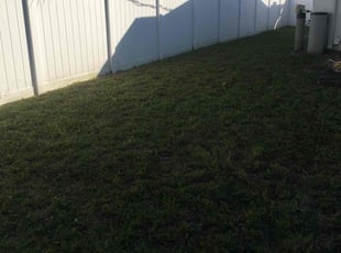 Greg B.'s lawn service service result