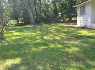 Julie L.'s lawn maintenance service result