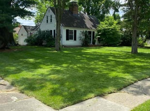 James N.'s lawn care services service result