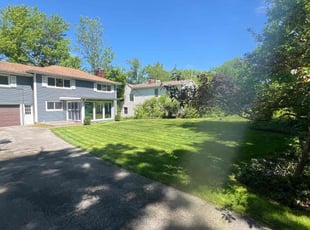 Candia T.'s Bush Trimming service result