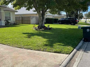 Barbara B.'s lawn maintenance service result