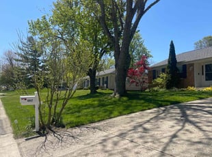 Lydia B.'s grass cutting service result