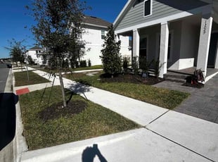 Tejal G.'s turf maintenance service result