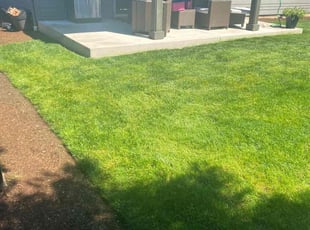 Jerry H.'s lawn service service result