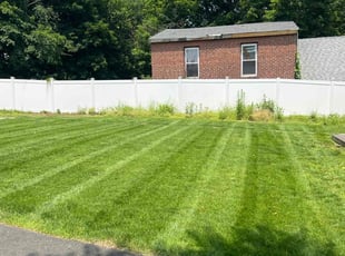 Keri L.'s turf maintenance service result