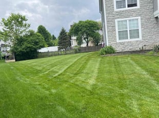 Jerid J.'s grass cutting service result