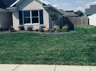 Jared H.'s lawn care services service result