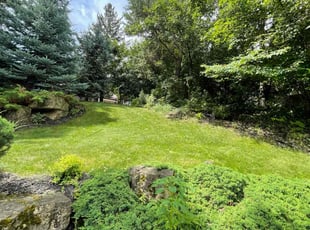 Madeleine K.'s grass cutting service result