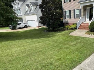 Whitney N.'s lawn care service result