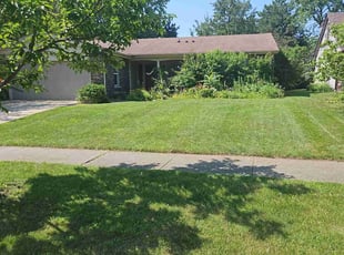 Diane W.'s lawn maintenance service result
