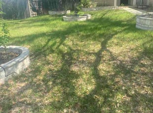 Shiela A.'s lawn care service result