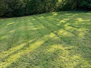 Ronna W.'s lawn maintenance service result