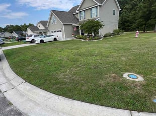 Vera I.'s turf care service result