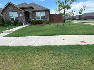 Cynthia W.'s grass cutting service result