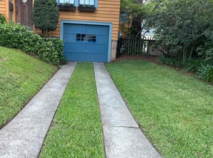 Bonnie L.'s lawn care service result
