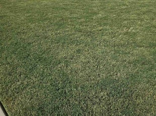 John D.'s lawn service service result
