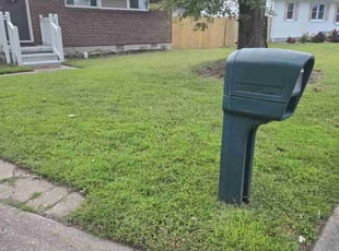 Katherine P.'s grass cutting service result