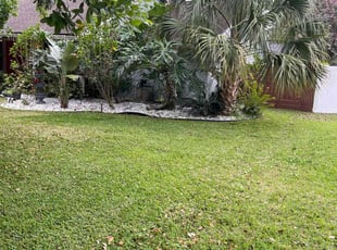 James J.'s turf care service result