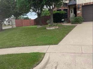 Dan T.'s lawn maintenance service result