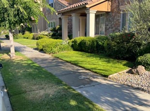 Viola V.'s lawn care service result