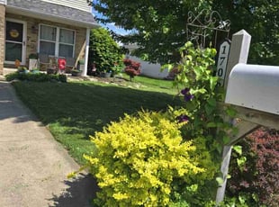 Nakisha W.'s turf maintenance service result