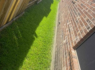 Tony L.'s lawn maintenance service result