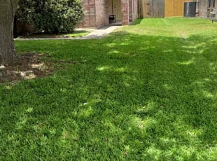 Benjamin A.'s lawn service service result