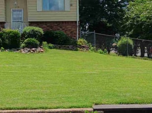 Alex C.'s lawn care services service result