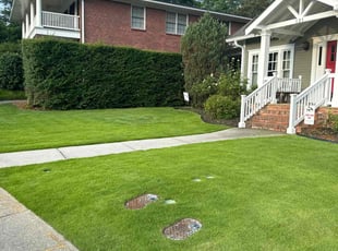 Dawn D.'s turf maintenance service result