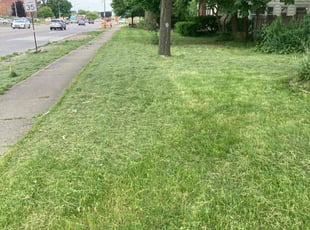 Krystal S.'s Long Grass Cleanup service result