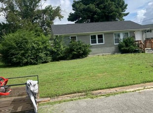 Rex R.'s grass maintenance service result