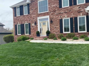 Ryan S.'s grass maintenance service result