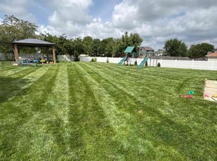 Kyle K.'s lawn care services service result
