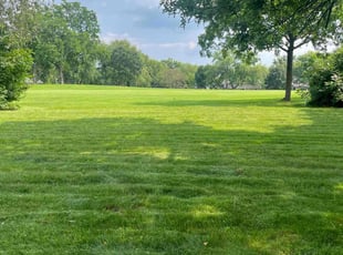 Janis R.'s turf maintenance service result