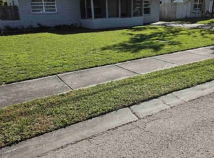 Jaye G.'s lawn maintenance service result